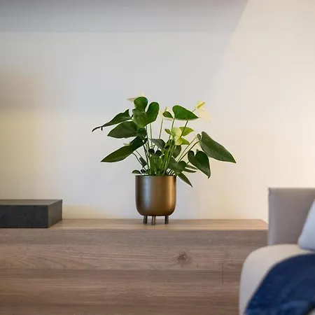 Le Coq Victoria - Parking - Ac - Wifi شقة *